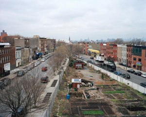 five_borough_farm_02