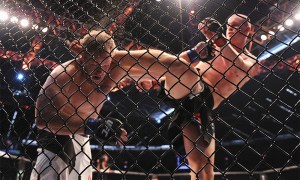 stefan-struve-ufc-193-1000