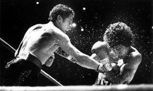 limon_chacon2-530x317