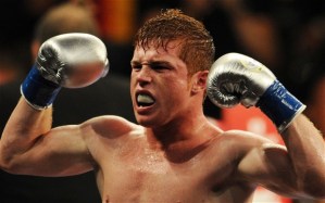 Saul Alvarez of Mexico celebrates after knocking out opponent Carlos Baldomir of Argentina during their WBC Super Welterweight Silver Title fight at the Staples Center in Los Angeles, on September 18, 2010. AFP PHOTO/Mark RALSTON (Photo credit should read MARK RALSTON/AFP/Getty Images)