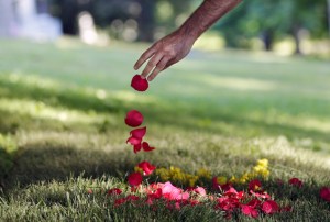 Arzam Farrokhi, an Iranian native now living in New York, drops rose petals on the grave of boxing great Muhammad Ali, Saturday, June 11, 2016, in Louisville, Ky. Cave Hill Cemetery opened to the public Saturday, the day after Ali's burial. (AP Photo/Mark Humphrey)